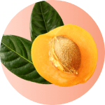 Аромат нектара спелых медовых абрикосов с нежной ореховой нотой масла ши.